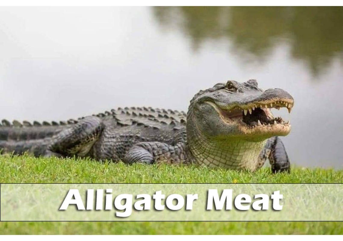 Alligator Meat: A Unique Culinary Adventure | All You Need to Know