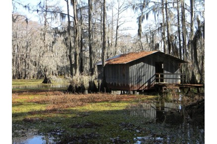 Cajun Foods