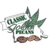 Classic Golden Pecans (11)