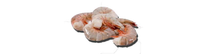 Shrimp - Gulf Shrimp