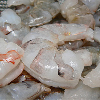 36/40 Gulf White Shrimp (P&D) 5 lb box