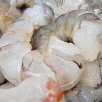 71/90 Gulf White Shrimp (Peeled) IQF