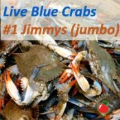 Live Crabs (JIMMY)