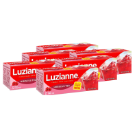 Luzianne Hibiscus Tea - Family Size (22 Count) 6 Pack