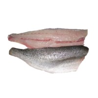 Speckled Trout Filets from the Gulf of Mexico