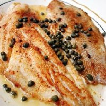 Tilapia