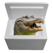 Louisiana Alligator Sampler Cooler