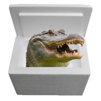 Louisiana Alligator Sampler Cooler