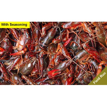 Live Crawfish Field Run Sack with Seasoning